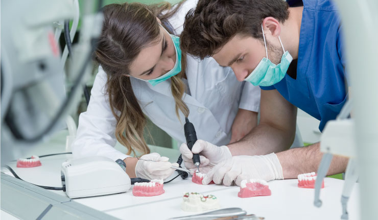Modelo de currículo para dentistas recém-formados